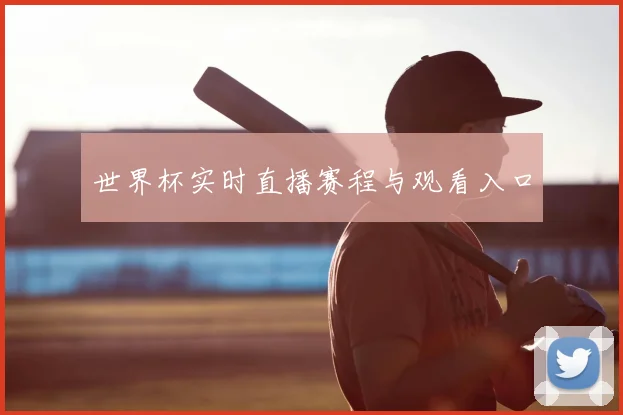 世界杯实时直播赛程与观看入口